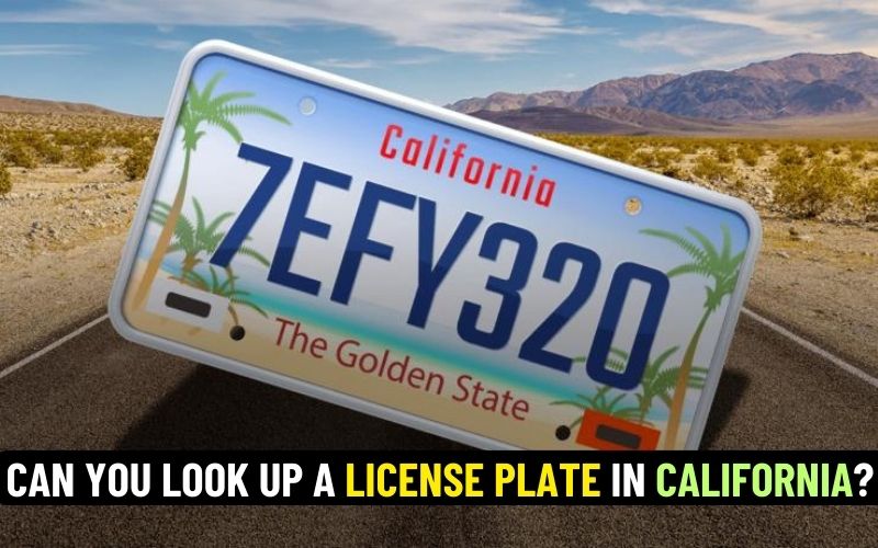 Can you look up a license plate in California?